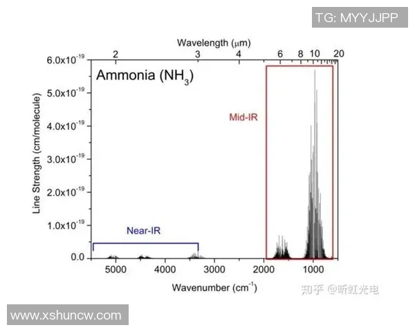 成都羽毛球队与深圳羽毛球队赛后技术分析与战术对比探讨